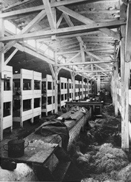 The barracks after liberation